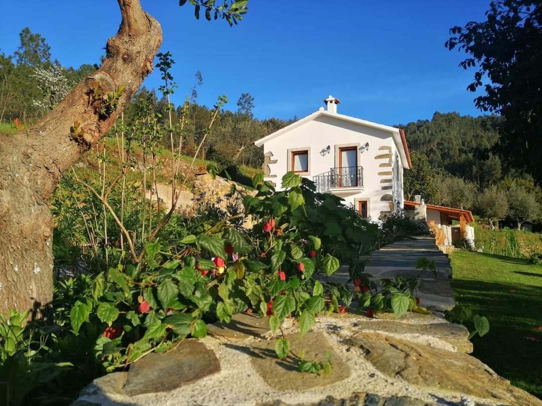 Holiday home A Casa Dos Avos - Local *