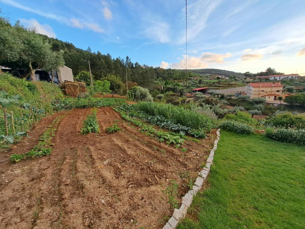 A Casa Dos Avos - Local Holiday home Serta